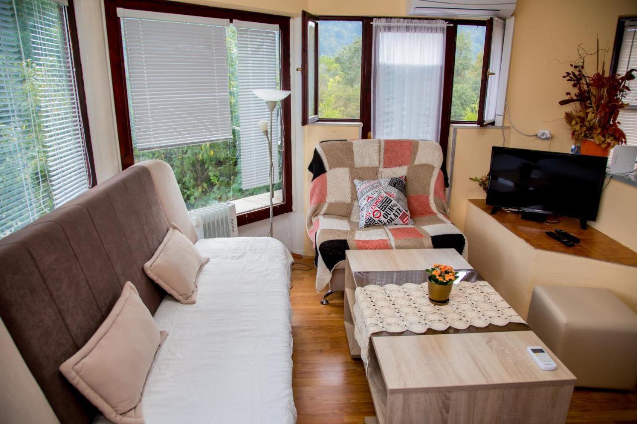 Villa Dino Kulen Vakuf Ngoại thất bức ảnh
